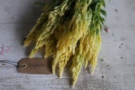 Pin On Berean Hill Farm