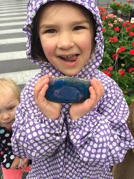 Riddles to find at the farmers market