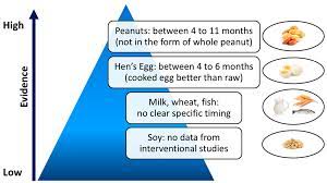 With a milk allergy in infants, a baby's immune system reacts negatively to the proteins in cow's milk. Nutrients Free Full Text Timing Of Food Introduction And The Risk Of Food Allergy Html