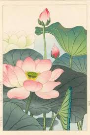 We did not find results for: Japanese Flowers Meaning Hanakotoba èŠ±è¨€è'‰ Bangkok Tattoo Studio 13 Thailand
