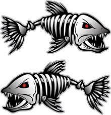 Best Fishing Decals For Boats Fishing Decals Skeleton Sticker Fish Drawings