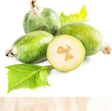Image result for Feijoa sellowiana