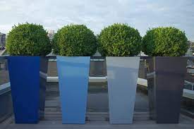 Check spelling or type a new query. 10 Privacy Plants For Screening Your Yard In Style
