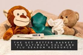 The Get Better Basket The Ultimate Cold And Flu Season Resource