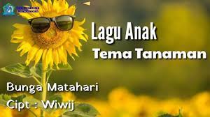 Menghadap matahari bertumbuh dan mekar. Lagu Anak Bunga Matahari Youtube