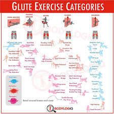 Best Glue Exercise Graphic Ever From Bodylogiq And Bret