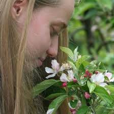 Eowyn Evelyn Anna Vos (eowynevelynannavos)