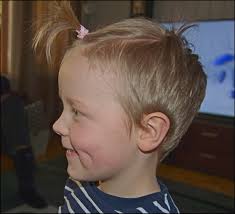 Pihakuiskaajan matkassa: helmikuuta 2017