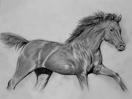 Watch and learn how to draw horse. How To Draw A Realistic Horse Step By Step Video For Beginners And Kids In Easy Way