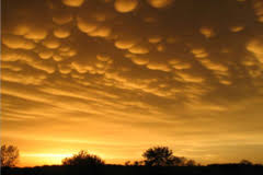All mammatus cloud news updates and notification on our mobile app available on android and itunes. Mammatus Cloud Wikiwand