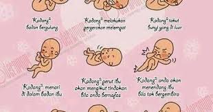 Penyebab gerakan janin kurang saat moms mendekati tanggal persalinan ternyata sederhana: Check Up Kali Ke Empat Tanda Pergerakan Baby Dalam Buku Pink Ceritera Si Gadis Biru