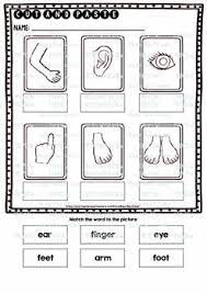 It is generally safe to begin using scissors and glue with prekindergarten students. Label The Pictures Worksheets Body Parts Cut And Paste Printables