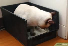 How do you remove cat urine from wood? How To Remove Cat Urine From Wood Floors With Pictures Wikihow Life