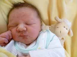 Daniel Bohnke's Instagram, Twitter & Facebook