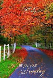 Looking for best good morning sunday, images, pictures, photos, gifs, messages and good morning blessing used on ᐅ top 26+ good morning sunday images, pictures, photos. Nature Wallpaper Nature Good Morning Happy Sunday