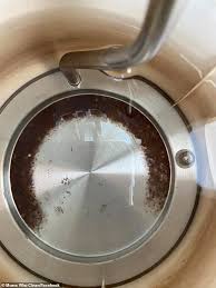 This will ensure a thorough clean to remove any stubborn stains. The Shocking Photo That Proves Why You Should Be Looking Inside Your Kettle Much More Often Daily Mail Online