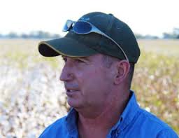 Increased Efficiencies with Access to the Better Cotton Initiative