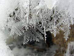 But what is the difference between freezing and flash freezing? Flash Freezing Wikipedia