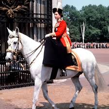So what does trooping the colour mean, exactly? Queen Elizabeth Ii 63 Years In 63 Pictures Bbc News