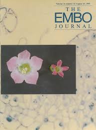 Register free for online tutoring session to clear your doubts. Dominant Negative Mutants Of The Cdc2 Kinase Uncouple Cell Division From Iterative Plant Development The Embo Journal