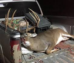 Offering trophy whitetail hunting, quail, pheasant and turkey hunting. Is This Gagger Monster Buck The New State Record Deer And Deer Hunting