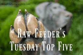 Feed 3/4 of the normal amount of current food and add 1/4 of the new food. 5 Steps To Transition A Dog To Raw Dog Food Keep The Tail Wagging