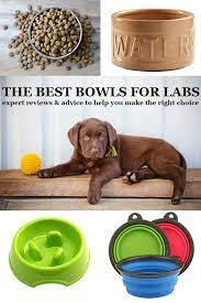 Pin On Puppy Stuff