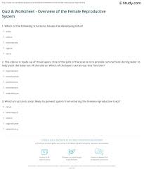 Quiz Worksheet Overview Of The Female Reproductive System Study Com