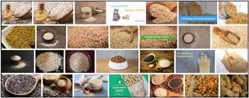 Sesame Seeds And Dogs Big Sale Off 78