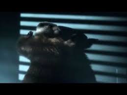 9 semaines et demi lyrics. 9 Semaines Et Demi Zone Telechargement Telecharger 9 Semaines Et Demi 1fichier Gratuit Togmibiticcong