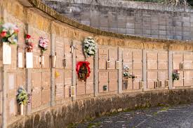 Cementerio muy grande que cuenta con hierbas abundantes en todo el lugar. Acceso A Los Cementerios Por Todos Los Santos Ampliacion De Horarios Y Medidas Preventivas Horta Guinardo