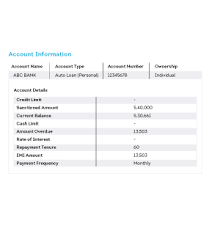 Faqs Understand Your Credit Score And Report Cibil