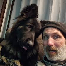 Whose German Shepherd should I draw next, friends?