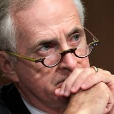 Trump Baby-Sitters Club is no substitute for checks and balances