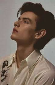 SADIE SINK X MALE READER