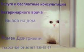 kastraciya kotov sterilizaciya koshek o93 408 09 z6 besplatka ua cats animals ten