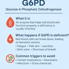 Image result for G6PD Deficiency