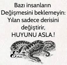Ask Sozleri Mevlana Ile Ilgili Dogru Yerdesiniz Aradiginiz Ask Sozleri Ni Iste Burada Sizlere En Guzel Resimler 2020 Bff Sozleri Bilgelik Alintilari Ozlu Sozler