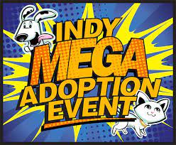 Learn more about central indiana lab rescue and adoption in indianapolis, in, and search the available pets they have up for adoption on petfinder. Indy Mega Adoption Event Home Facebook