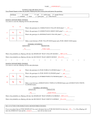 Have your students practice some punnett squares and genetics with spongebob!there are 3 slides that practice phenotypes and genotypes and . Answer