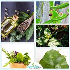 This herb is one of the best remedies for arthritis, particularly rheumatoid arthritis. Ayurveda For Rheumatoid Arthritis Phenomenal Herbal Remedies To Mitigate Joint Pain
