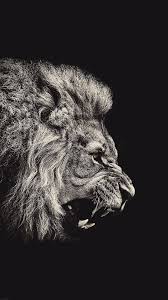 Black background, abstract, amoled, portrait display. Black Lion Iphone Wallpapers Top Free Black Lion Iphone Backgrounds Wallpaperaccess