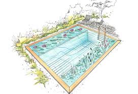 Konfigurator Schwimmteich Und Naturpool Salamander Naturgarten Ag Schwimmteich Natur Pool Naturschwimmbecken