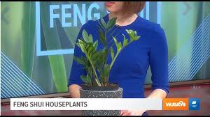 See more ideas about feng shui, entrance, feng shui tips. Channeling Plant Feng Shui In Your Home Wusa9 Com