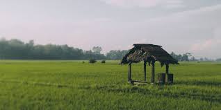 Cara memilih plafon yang cocok dengan jenis rumah di. Konsep Dan Pengenalan Wakaf Yang Anda Perlu Tahu Korban Aqiqah