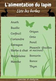 Liste Herbes Lapin Lapin Alimentation Lapin Nourriture Lapin