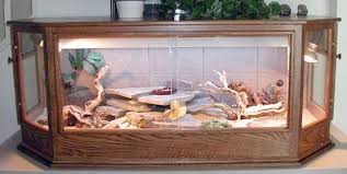 Majestic 70 Best Ideas Bearded Dragon Habitat If Your Plan Is To House Bearded Dragons Together Uti Bearded Dragon Habitat Bearded Dragon Care Bearded Dragon