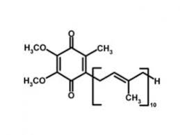 Coenzyme q, also known as ubiquinone, is a coenzyme family that is ubiquitous in animals and most bacteria (hence the name ubiquinone). Coenzyme Q10 Ubiquinol Buy Food Supplements And Cosmetics Online