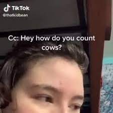 Tiktok Thatkidbean Cc Hey How Do You Count Cows