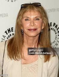 2,292 Turkel Stock Photos, High-Res Pictures, and Images